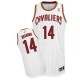 Maillot blanc de NBA Terrell Brandon authentiques hommes - Adidas Cleveland Cavaliers # maison 14