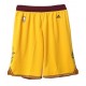 Offre spéciale - Cleveland Cavaliers or Adidas Swingman Performance Court