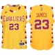 LeBron James Cleveland Cavaliers 23 & feuillus Throwback classique Enfants or Maillot