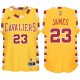 LeBron James Cleveland Cavaliers 23 & feuillus Throwback classique Enfants or Maillot