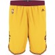 Cleveland Cavaliers Swingman or Shorts