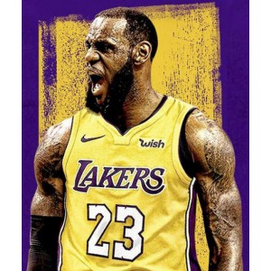 Nike Lebron James 23& Golden Los Angeles Lakers Or Échangiste Maillot