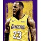 Nike Lebron James 23& Golden Los Angeles Lakers Or Échangiste Maillot
