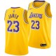 Los Angeles Lakers Lebron James Nike NBA hommes icône Échangiste Maillot