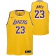 Los Angeles Lakers Lebron James Nike NBA Enfants icône Replica maillots
