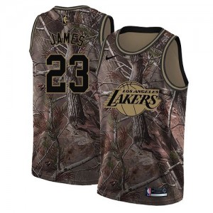 les Lakers 23 LeBron James Camo NBA swingman Realtree collection maillots