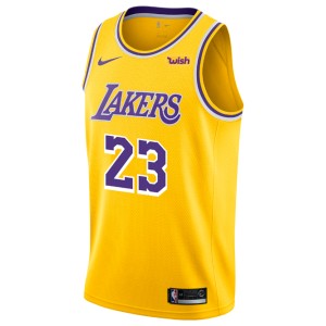 Maillot de Los Angeles Lakers LeBron James Icon Edition swingman