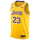 Maillot de Los Angeles Lakers LeBron James Icon Edition swingman