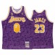 Maillot LeBron James BAPE X Mitchell Purple 1996-97