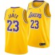 Los Angeles Lakers Lebron James Finals Champions Nike NBA hommes icône Échangiste Maillot